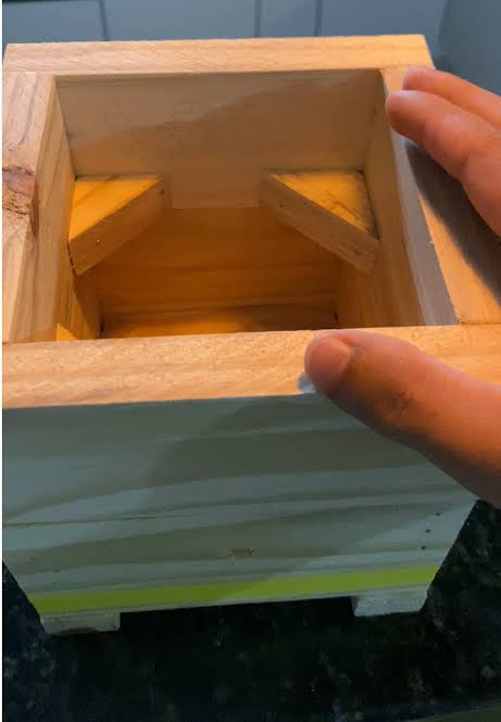Alimentación e inspección